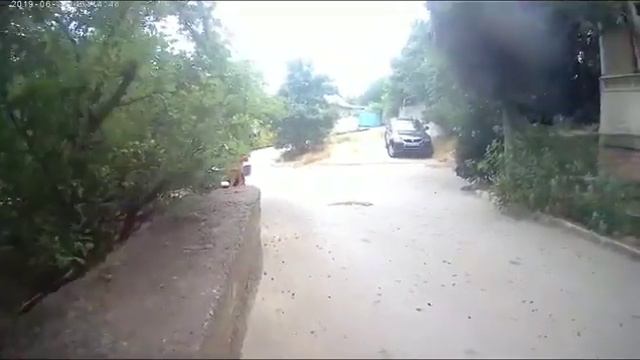 Катаюсь на велеке смотреть онлайн