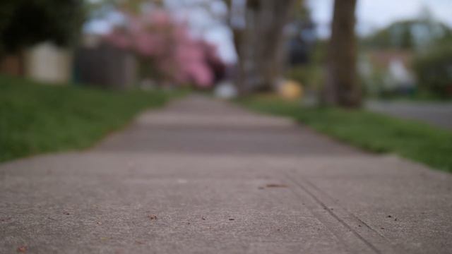 First Look - Panasonic GH5 + SLR Magic 25mm / T 0.95 Hyperprime Cine Lens смотреть онлайн