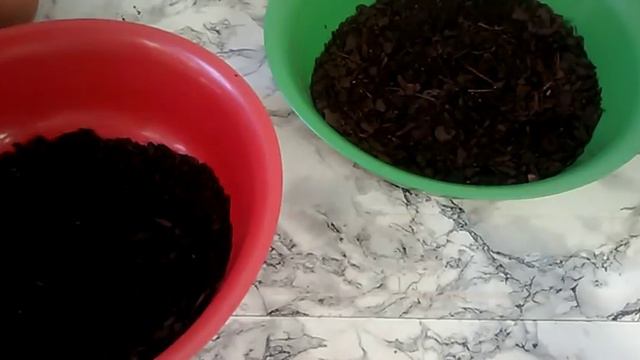 Preciso comprar um substrato "chique"? смотреть онлайн