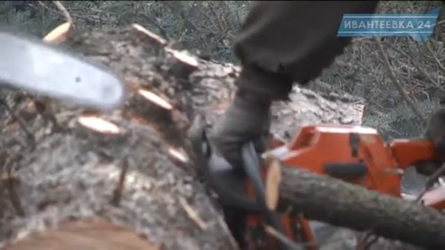 1 апреля: комбинату благоустройства совсем не до смеха смотреть онлайн