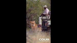 СБОРНИК НОВЫХ ПРИКОЛОВ С ЖИВОТНЫМИ. КОРОТКИЕ ВИДЕО #Shorts (#22)