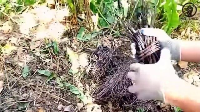 сколько стоит 100кг меди смотреть онлайн