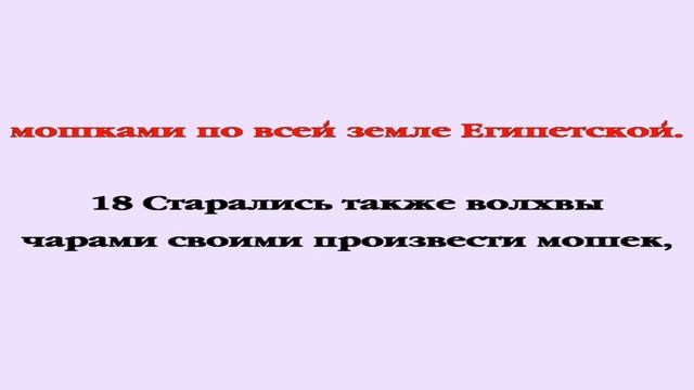 Видеобиблия. Исход. Глава 8 смотреть онлайн