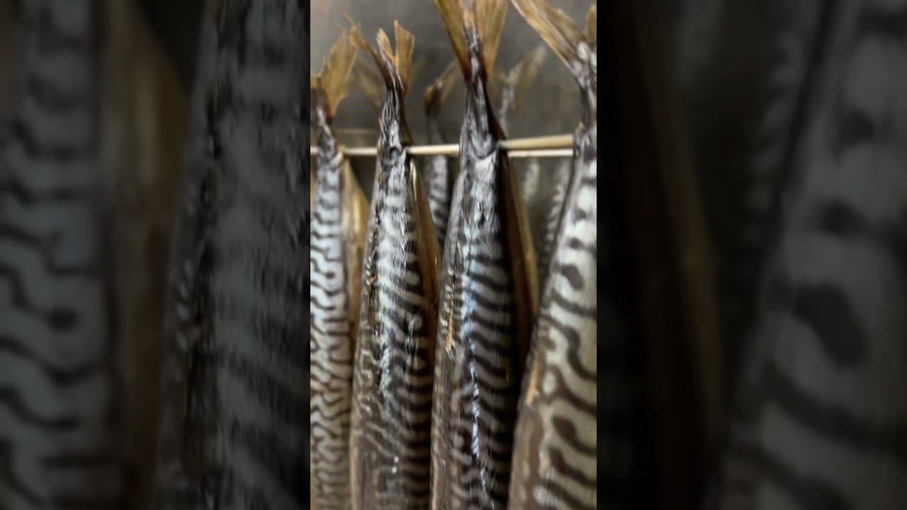 Скумбрия холодного копчения. смотреть онлайн