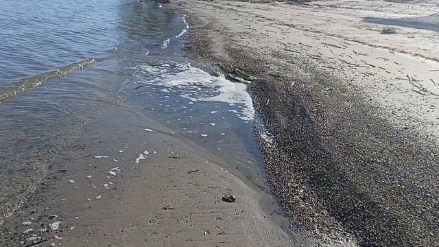 Прогулка у пляжа. смотреть онлайн