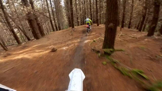 2021 YAMAHA WR250F FIRST RIDE!!!