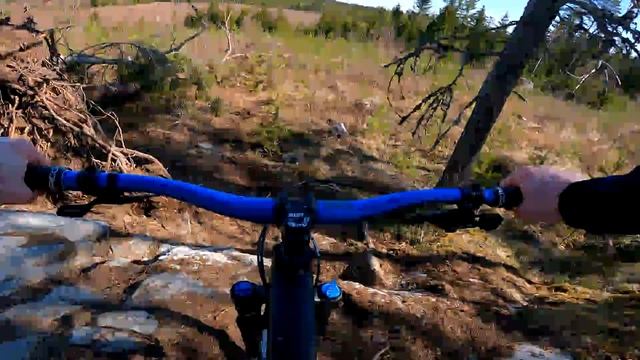 Ruosniemi || Cube Stereo One77 170 || Metsäpoluilla Endurointia [4K] смотреть онлайн