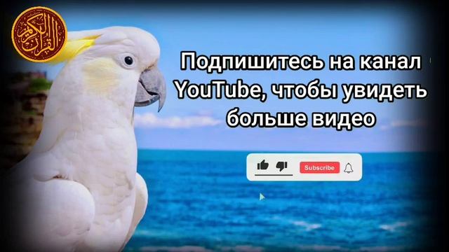 утренний дуа. дуа каждое утро. ДУА УТРО смотреть онлайн