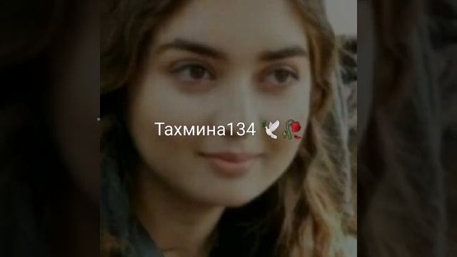 цыганская песня петя куряк ?? смотреть онлайн