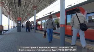 Гриша Заречный    Обезьянник