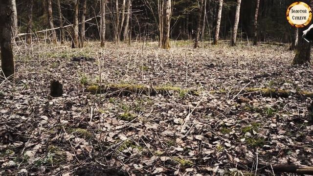 Секреты поиска поселения 10 15 века смотреть онлайн