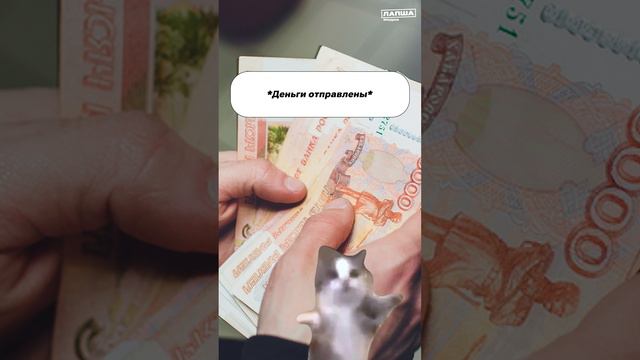 МОШЕННИКИ ОБМАНЫВАЮТ СДАЮЩИХ ЕГЭ смотреть онлайн