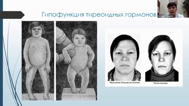 Муниципальный ресурсный центр по подготовке к Всероссийской олимпиаде школьников по биологии смотреть онлайн