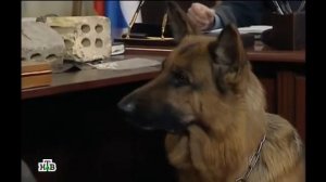 Возвращение Мухтара 2. Наследники Медузы