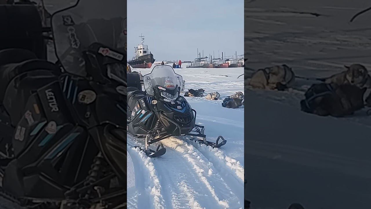 Снегоход Вектор 551 на Камчатке. *из дневника пилота смотреть онлайн