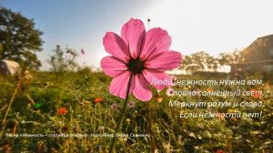 Нежность спутница счастья христианская песня исполняет Лидия Савченко многоденая мама