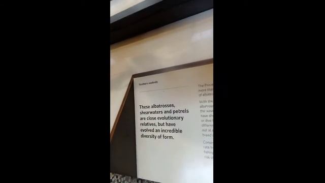 Explore the National History Museum with Ijeoma Ohiaeri TV | Life in London смотреть онлайн