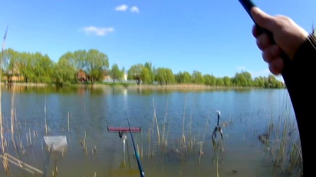 Карась проснулся, май, активный клев смотреть онлайн