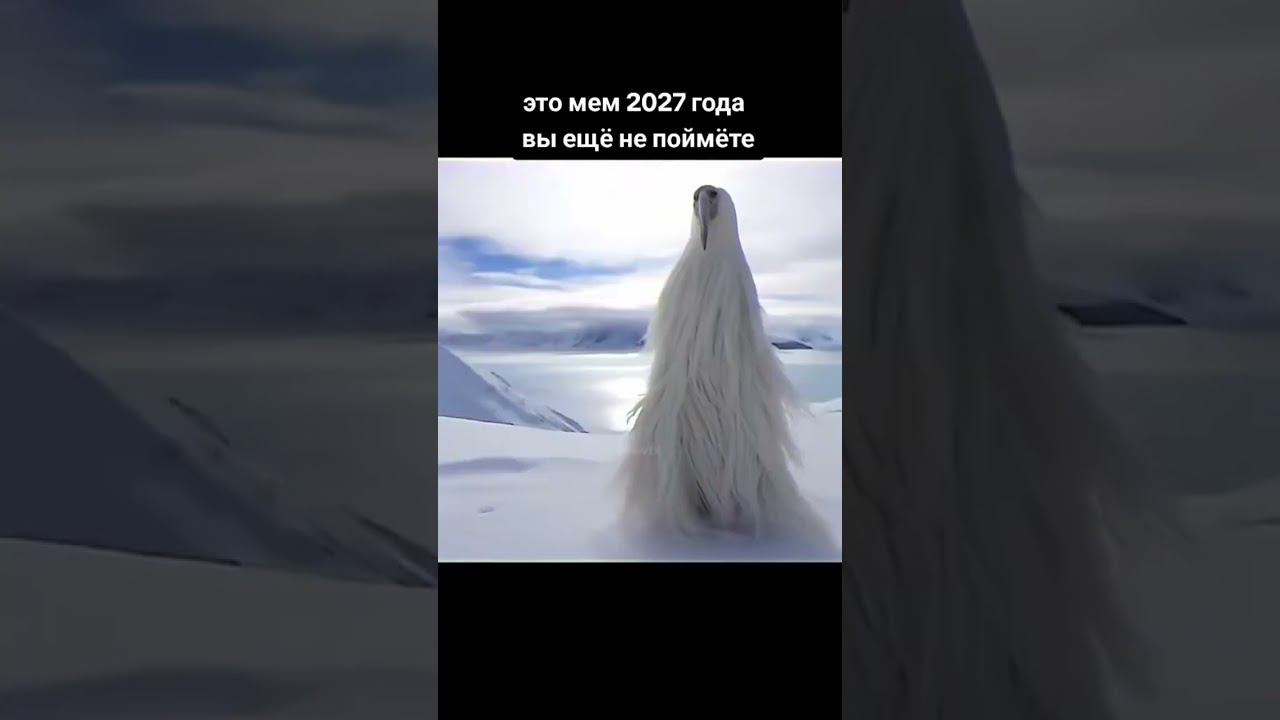 #2027 #shorts #tiktok #memes смотреть онлайн