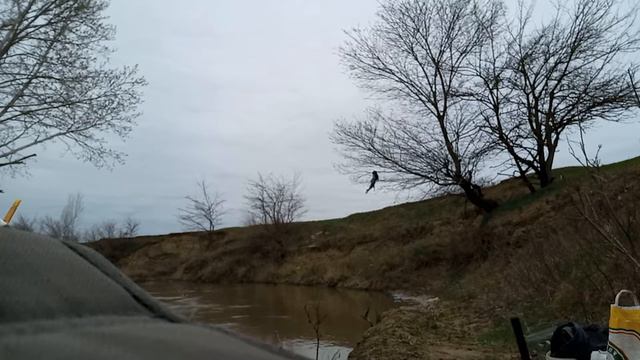 тестирование прямого кивочка на речке смотреть онлайн