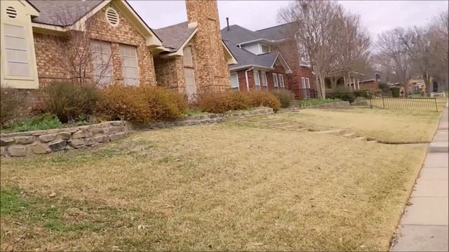 Весна в Техасе. Красота, Много цветущих деревьев , а плодовых очень мало. Интересно, почему? смотреть онлайн