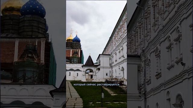 Почему тебе стоит съездить в Рязань? #travel #рязань #путешествияпороссии #грибы #рязанскаяобласть