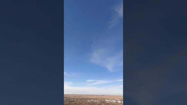 ПРИГЛАШАЕМ С НАМИ ПОГУЛЯТЬ. ХОДИЛКИ, ЧАСТЬ 1 смотреть онлайн