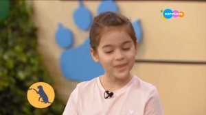 Карусель. О собаках.  Леонбергер выпуск от 15.12.2020