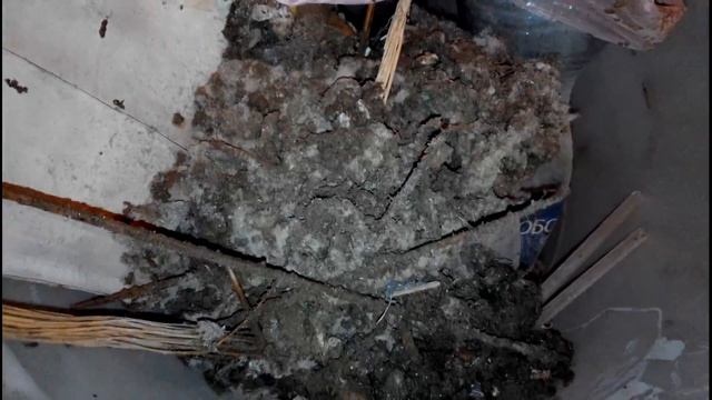 Любителям реставрации паркета посвящается..... смотреть онлайн