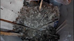 Любителям реставрации паркета посвящается.....