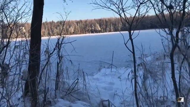 Рыжие гостьи. Сказочное озеро. Покупки из магазина Озон. смотреть онлайн