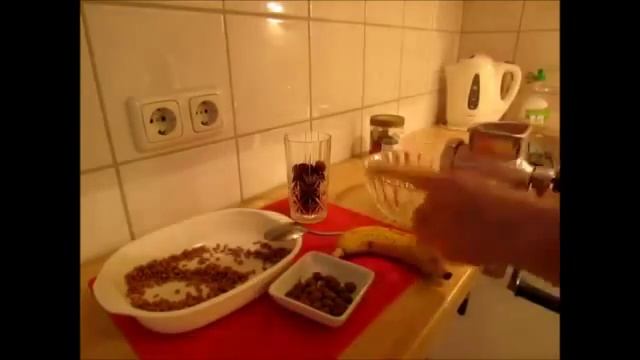 Пророщенная пшеница. Рецепты на завтрак смотреть онлайн