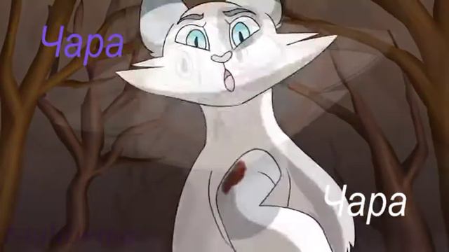 песня коты воители смотреть онлайн