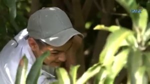 Secret Affair with step mom romance full movie?