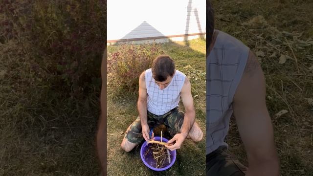 Как легко и быстро почистить хрен ? смотреть онлайн