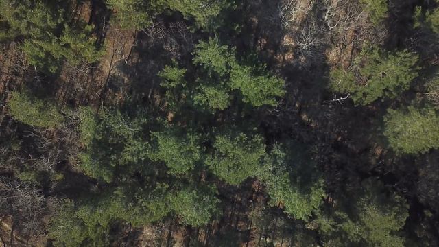 Ольгинка 2019 Mavic Pro + 360 смотреть онлайн