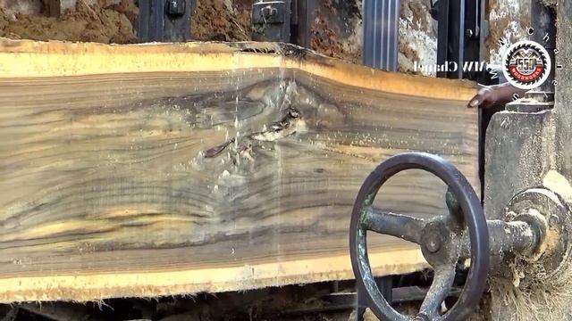 Sawing and Cutting Spectacular Giant Wood in the World || Sawmill смотреть онлайн