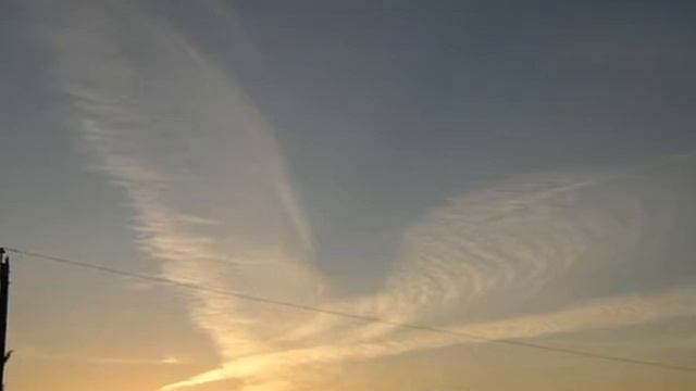 Пахом Она одна