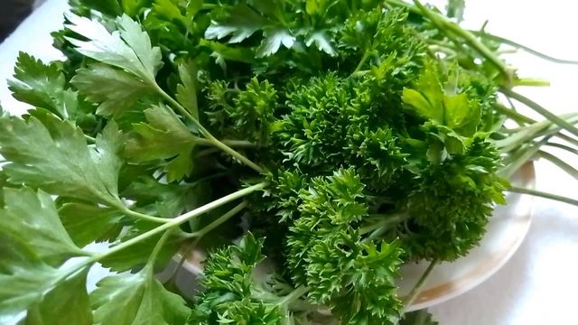 Похолодание и сильный ветер, без осадков #13ноября #2023год#+5° #пасмурно #похолодание #сильныйвете смотреть онлайн