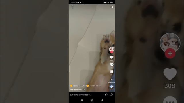 ВЕСНА, МИР, ДРУЖБА! #сказка #юмор #прикол #приколы #животные смотреть онлайн