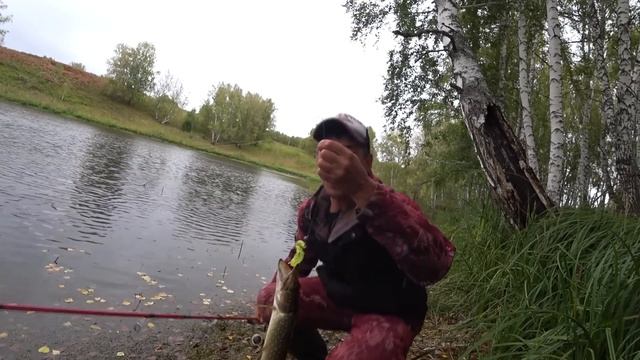 Дикое ОЗЕРО в ТАЙГЕ | голодные РЫБИНЫ жрут ВСЁ подряд смотреть онлайн