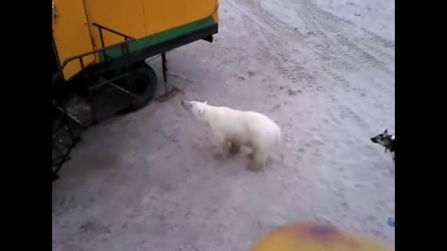 север