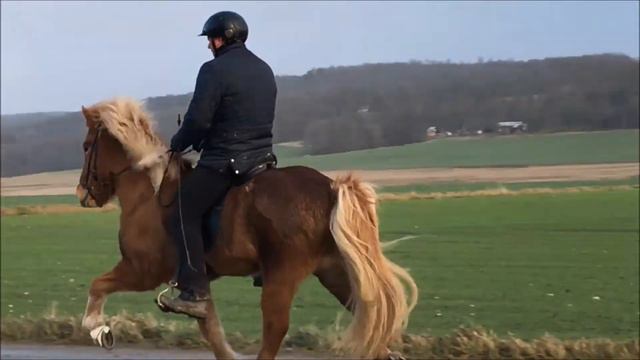 Sæta Från Rosenlund 1 смотреть онлайн