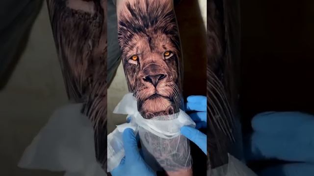 #lion Tattoo for Mens #latest Arm Tattoo dizziness #tiger Tattoo #vip Tattoo Art смотреть онлайн