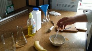 выделение ДНК из банана подручными средствами