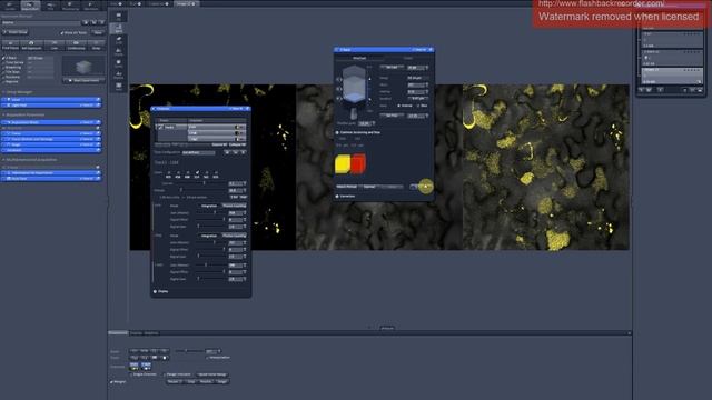 6. z-stack. Scanning parameters for 3D reconstruction смотреть онлайн
