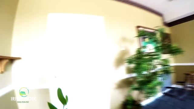 ЖИЛЬЁ СРЕДНЕГО КАНАДЦА. ИЗБУШКА В ЛЕСУ . УТРО ПО КАНАДСКИ ЧАСТЬ 2 смотреть онлайн