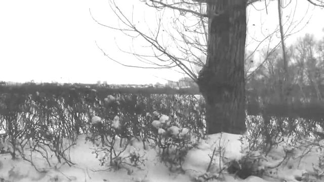 Иван Денисенко. Я открываю глаза / Ivan Denisenko. J’ouvrirai les yeux смотреть онлайн