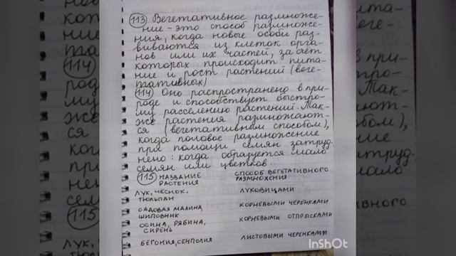 ГДЗ.Биология.§25.Рабочая тетрадь. Пасечник. смотреть онлайн