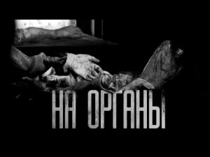 НА OPГAНЫ... Страшные истории на ночь.Страшилки на ночь.
